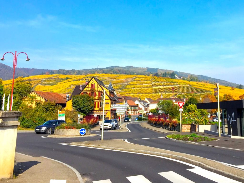 Driving through the Alsace Wine Route in Ribeauville