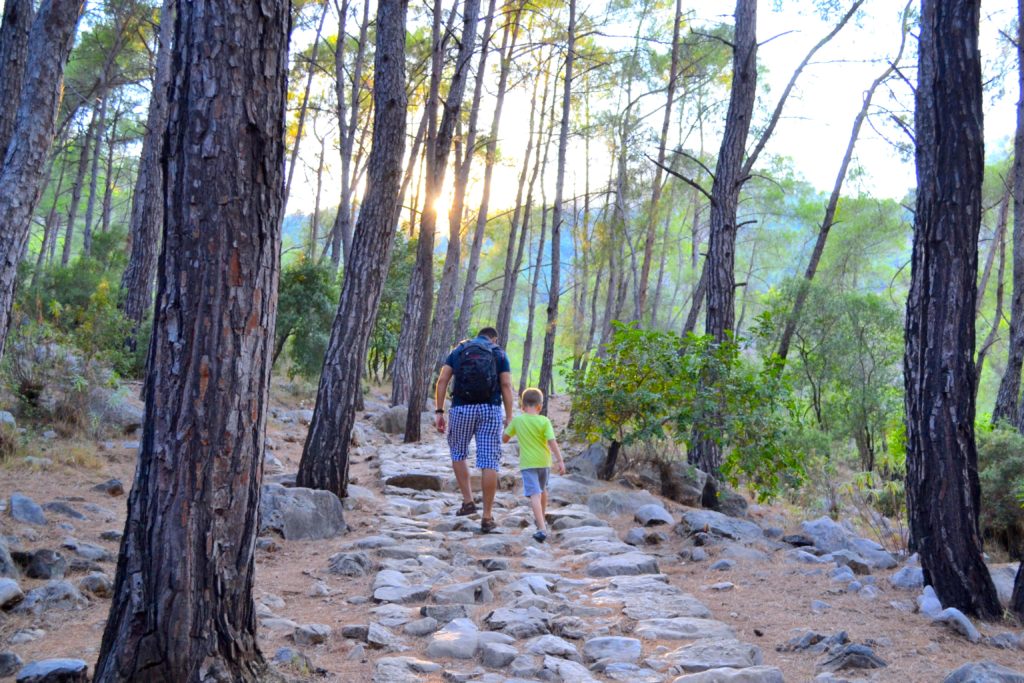 Path to Chimaera Yanartas in Cirali pine forest, Kemer Antalya