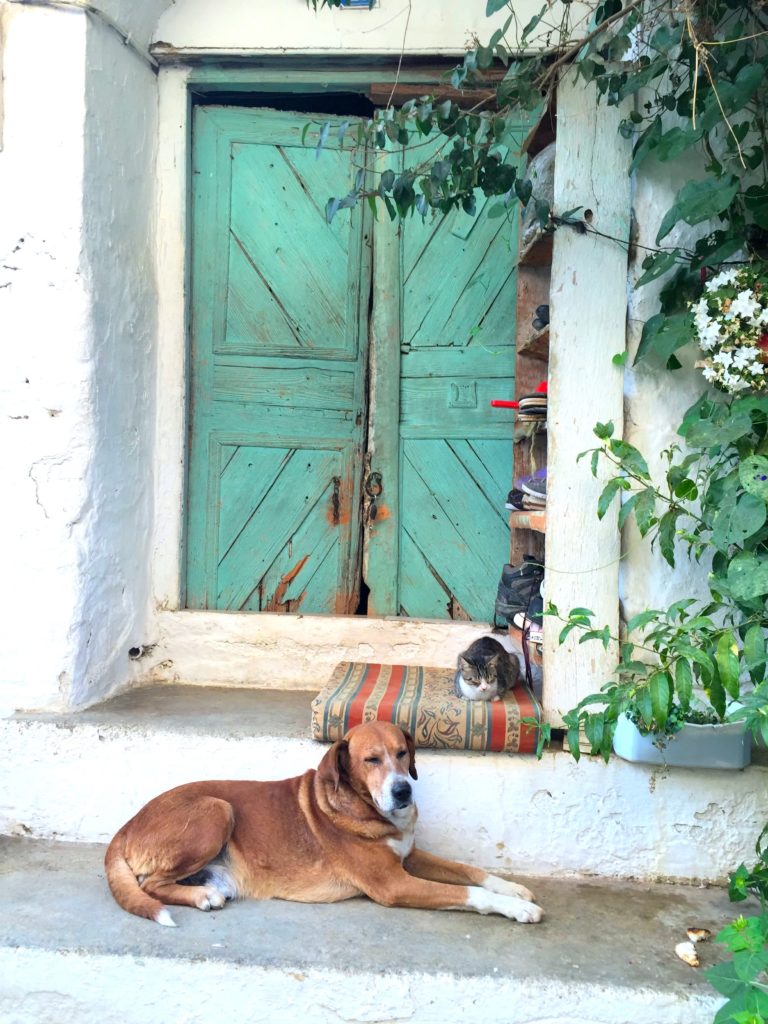 Sirince old houses, doors, cats and dogs